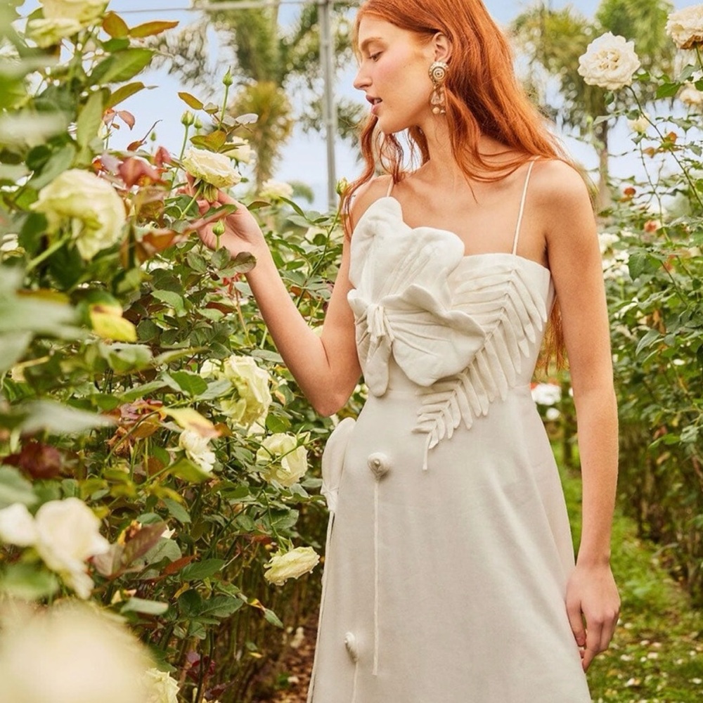 Farm Rio Garden Applique Sleeveless MIDI Dress Size M
